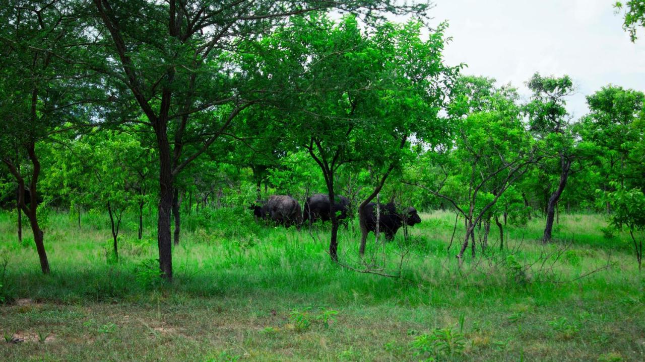 Mantis Lodge & Camping Site Morogoro المظهر الخارجي الصورة